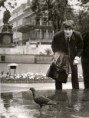 /album/fotogaleria/a408697-191950897567410-100002575038997-346539-1450782260-n-jpg/
